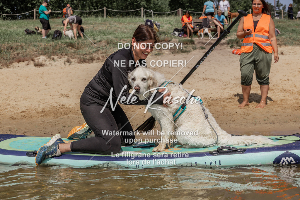 BUHU_SUP_673 | nelerasche