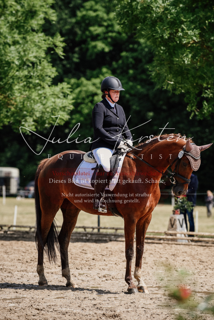 DSC_1346 | Pferde- und Turnierfotografie in Westsachsen. Pferdeportraits, Auftragszeichnungen und intuitive Kunst.
