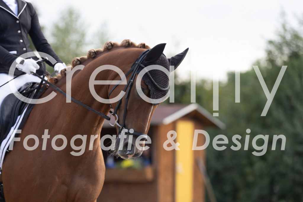 IMG_9805 | Creatify Fotografie