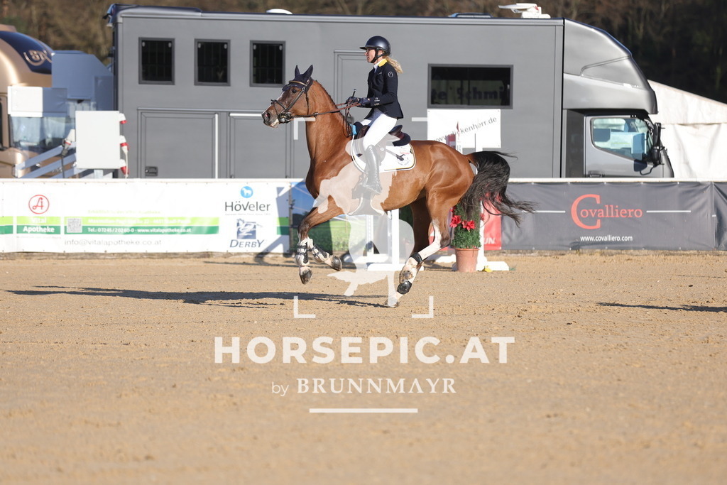 0P6A2155 | Willkommen bei Brunnmayr - Design & Fotografie – Ihrem Spezialisten für Reitturniere und Pferdeveranstaltungen in Oberösterreich, Salzburg und Bayern! Seit über 17 Jahren sind wir leidenschaftlich dabei.