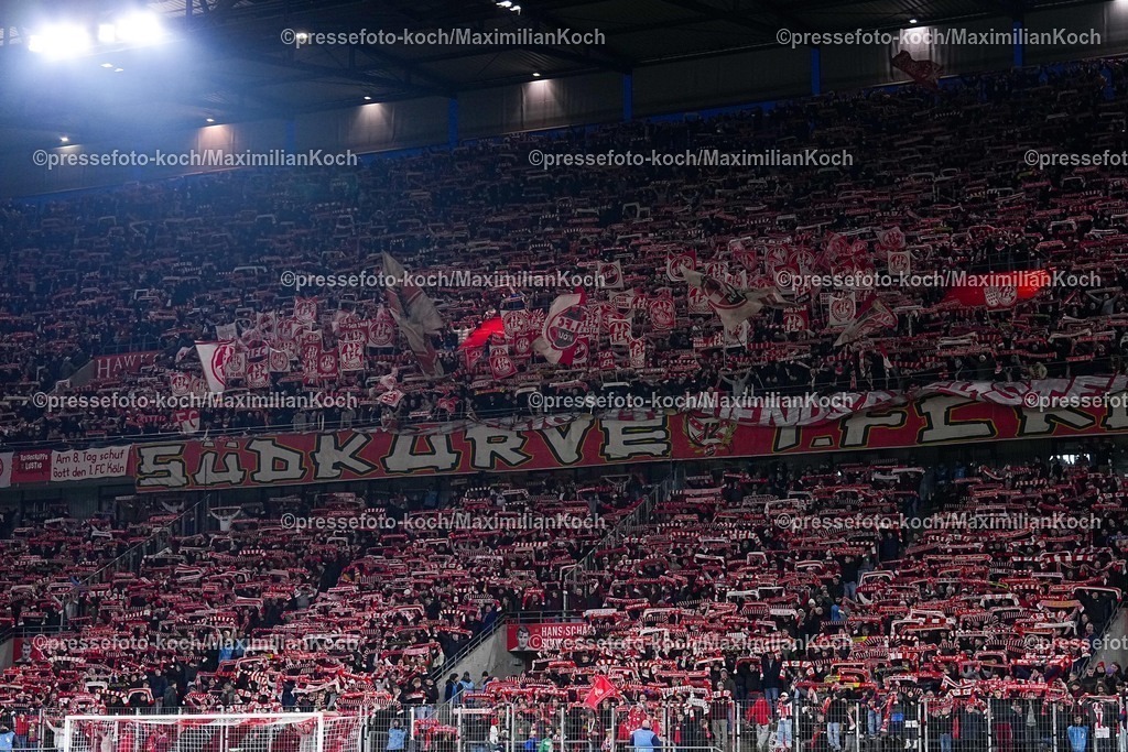 xYDRx04022601152 | 04.02.2026, xydrx, Fußball, Sechzehntelfinale UEFA Youth League, 1.FC Köln - FC Internazionale Milano, Saison 2025 2026, RheinEnergie-STADION :  Fans des 1. FC Köln halten Schals hoch und schwenken Fahnen  regulations prohibit any use of photographs as image sequences and or quasi-video. Photo: xYannisxDreimannxPressefotoKochx