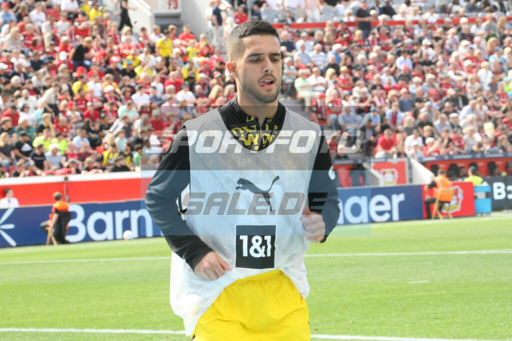 Bayer 04 Leverkusen - Borussia Dortmund | Giovanni Reyna - © Sportfoto-Sale (MK) - Realisiert mit Pictrs.com