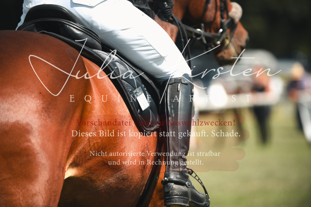 DSC_6625 | Pferde- und Turnierfotografie in Westsachsen. Pferdeportraits, Auftragszeichnungen und intuitive Kunst.