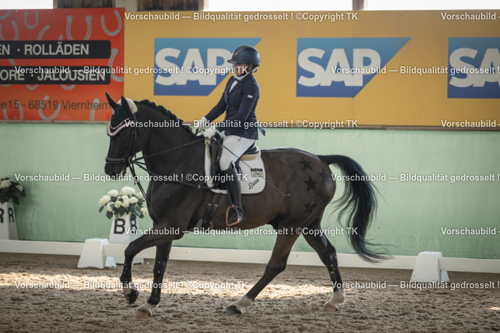 _D5A5819 | Emotionale Pferde- & People-Fotografie rund um Heidelberg, Leimen & Umgebung. Natürliche Fotos von Pferd, Mensch & Familie. Jetzt Termin sichern!