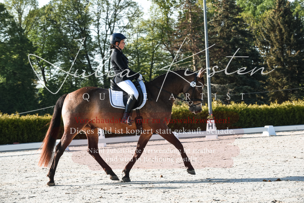 20230518_JK-Röhrsdorf-09-0047 | Pferde- und Turnierfotografie in Westsachsen. Pferdeportraits, Auftragszeichnungen und intuitive Kunst.