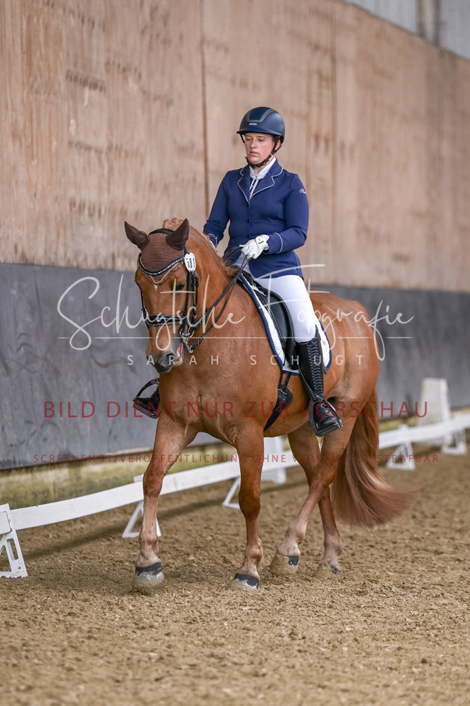 Schugtsche-Aluta25-57.Dressurprf.M1Kand-134 | Schugtsche Fotografie - Realisiert mit Pictrs.com