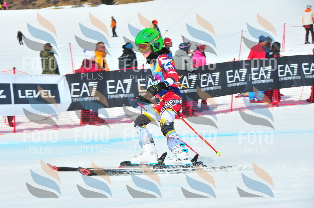 DSC_1432 | holidayphoto