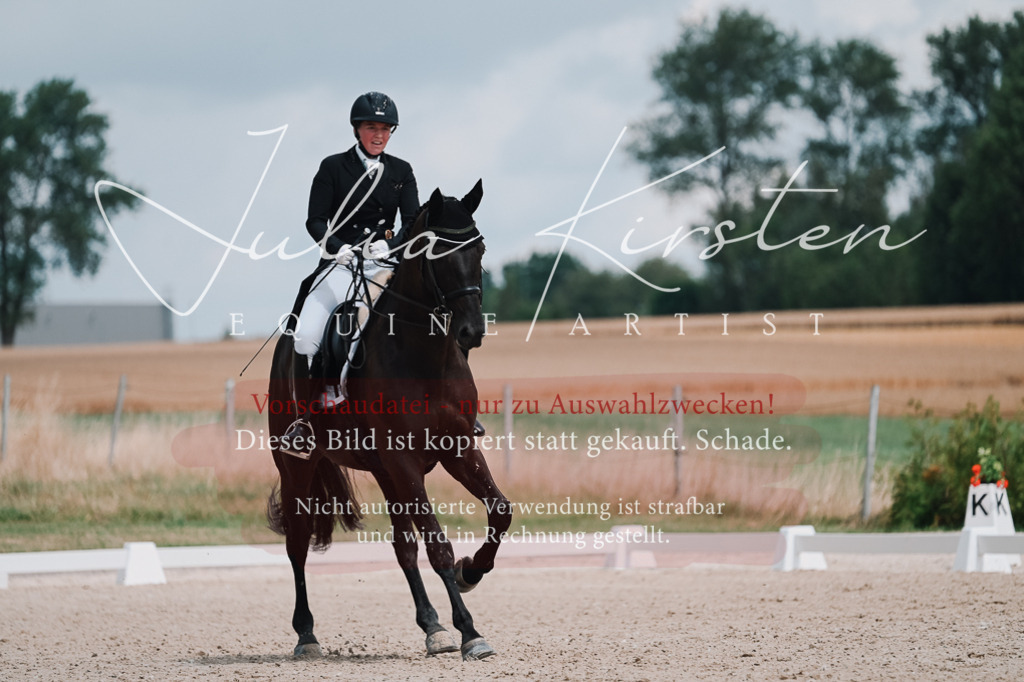 DSC_4278 | Pferde- und Turnierfotografie in Westsachsen. Pferdeportraits, Auftragszeichnungen und intuitive Kunst.