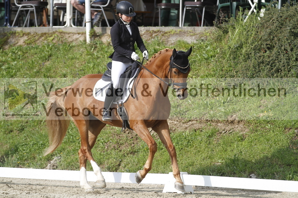 _MG_5880 | equestrian-live-com