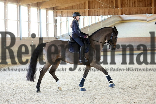 Trainigstag_Steinenbronn_Niemann_2023_Leni-Sophie Lasser (34) | Alle Fotos der Reiterjournal Fotografin Doris Matthaes im Reiterjournal Online-Fotoshop. - Realisiert mit Pictrs.com