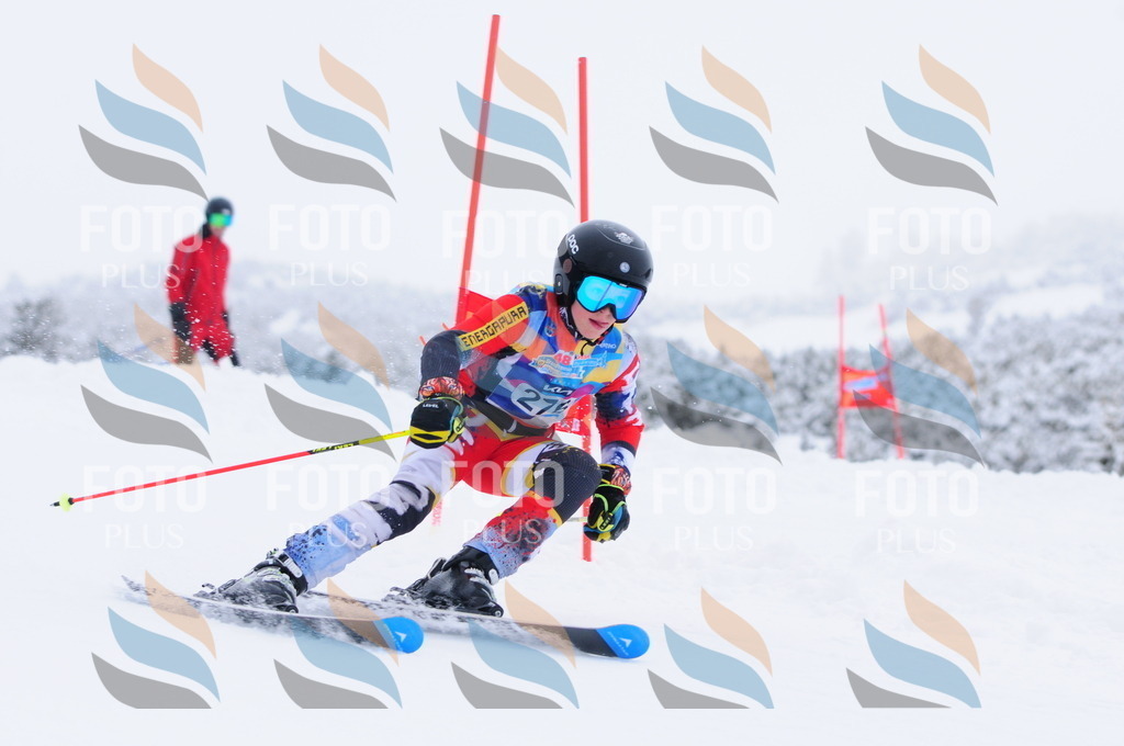 C2924 | holidayphoto