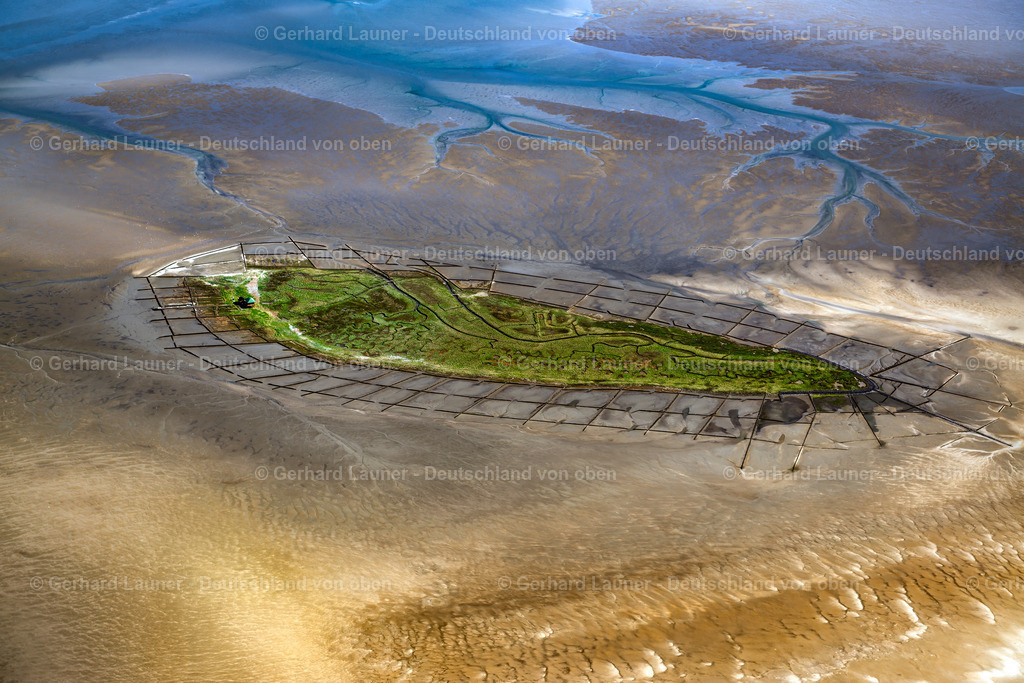 3801911 | Vogelfreistätte Hallig Norderoog, Nationalpark Schleswig-Holsteinisches Wattenmeer