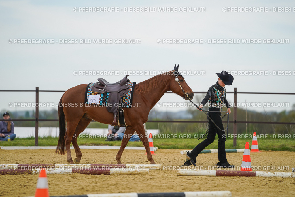 DSC02726 | Pferdegrafie