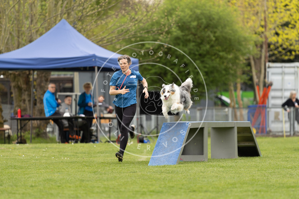 Pfotenfotografie_DV3A9260 | Hundefotografie, Tierfotograf, Pfotenfotografie, Fotoshooting Hund, Hunde Portrait, Hundesport, Hundeportraits, Heideshooting, Hunde, Sportfotograf, Hundefotograf, Turnierhundsport, THS,  - Realisiert mit Pictrs.com