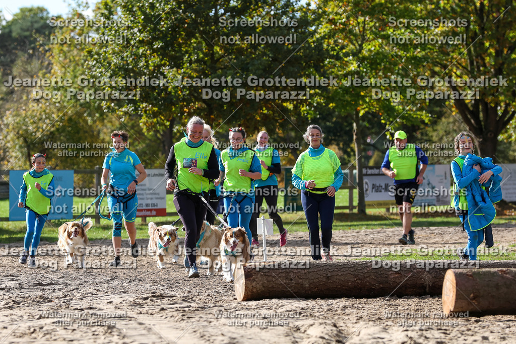 Dog Paparazzi - Strongdog 10-25-5576 | Dog Paparazzi Jeanette Grottendiek Fotografie & Videografie - Realisiert mit Pictrs.com
