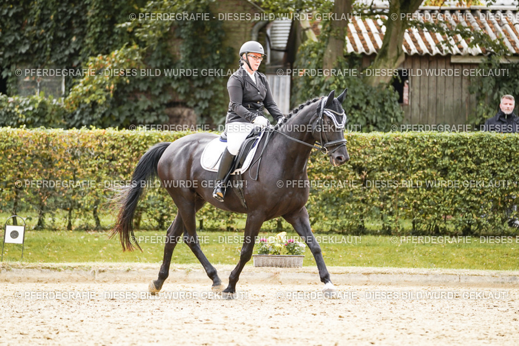 DSC01198 | Pferdegrafie