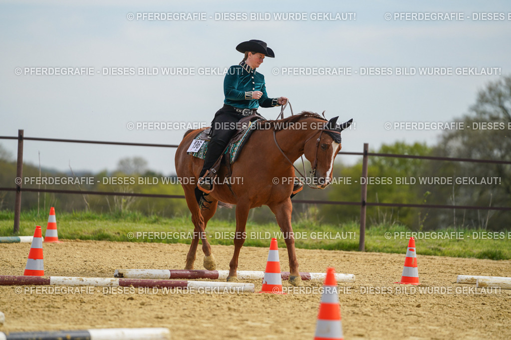 DSC03656 | Pferdegrafie