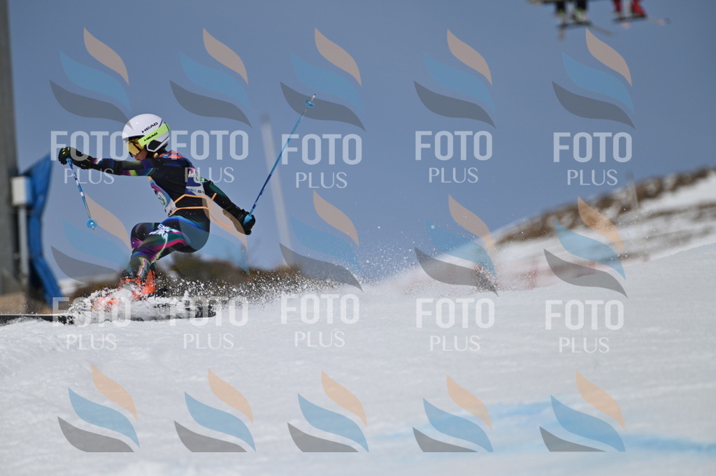 BGV_6013 | holidayphoto