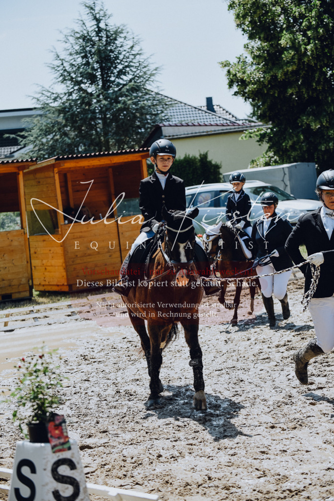 DSC_2271 | Pferde- und Turnierfotografie in Westsachsen. Pferdeportraits, Auftragszeichnungen und intuitive Kunst.