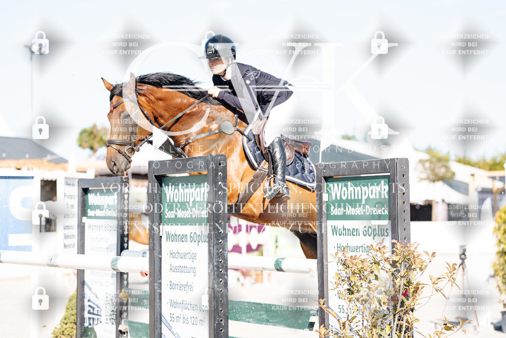 CK904273 | Turnierfotografie Pferdefotografie Trier Rheinland-Pfalz Pferdesport Reitsport Tierfotografie Sportfotografie Pferdevideo Pferdevideografie Equestrianvideography equestrianphotography  - Realisiert mit Pictrs.com