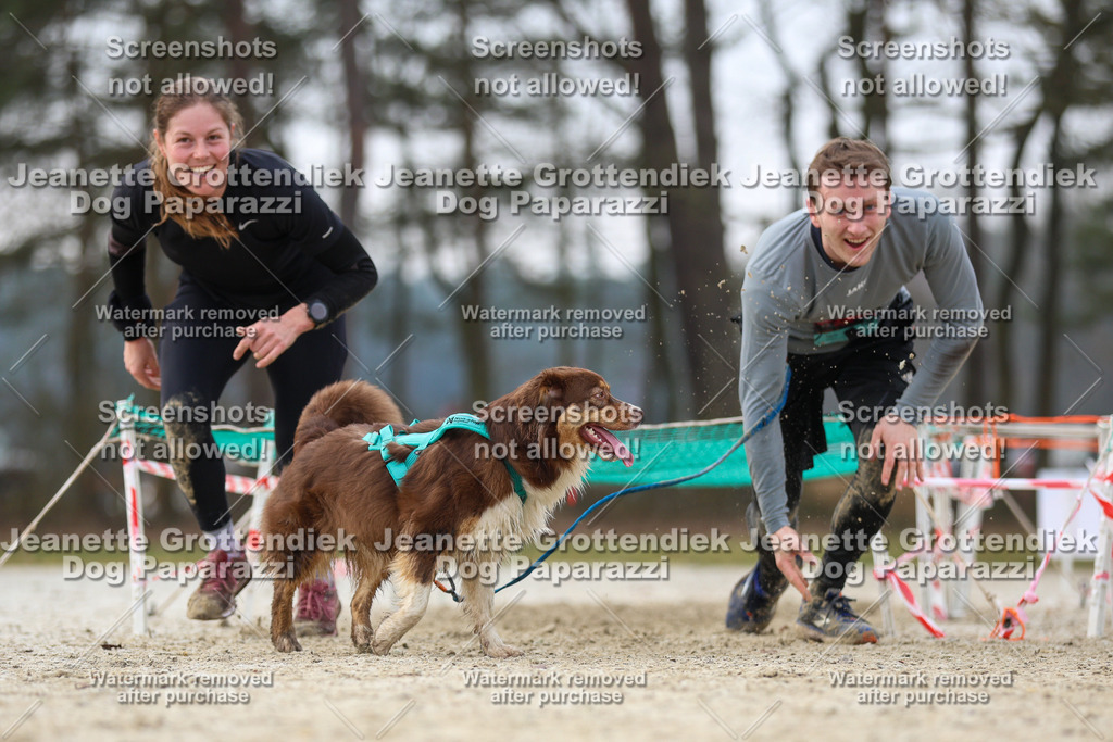 Dog Paparazzi - Strongdog North Mrz26-4488 | Dog Paparazzi Jeanette Grottendiek Fotografie & Videografie - Realisiert mit Pictrs.com