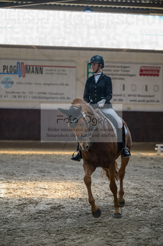 Reitturnier Voxtrup | Entdecke hochwertige Reitturnierfotos von Foto Oger. Professionell, emotional und authentisch – jetzt Lieblingsmomente im Shop bestellen.Deutschlandweite Turnierfotografie. - Realized with Pictrs.com