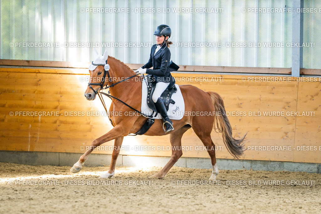 DSC02942 | Pferdegrafie