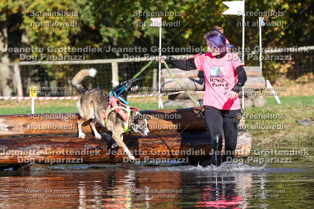 Dog Paparazzi - Strongdog 10-25-8809 | Dog Paparazzi Jeanette Grottendiek Fotografie & Videografie - Realisiert mit Pictrs.com