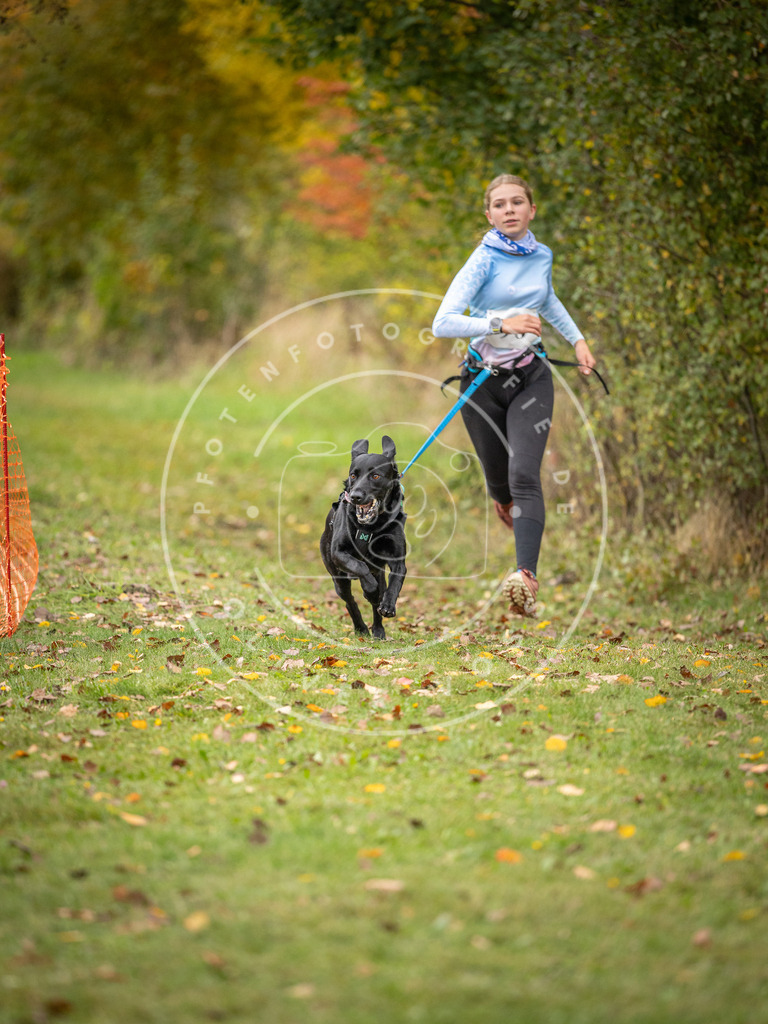 Pfotenfotografie_DV3A3360 | Hundefotografie, Tierfotograf, Pfotenfotografie, Fotoshooting Hund, Hunde Portrait, Hundesport, Hundeportraits, Heideshooting, Hunde, Sportfotograf, Hundefotograf, Turnierhundsport, THS,  - Realisiert mit Pictrs.com