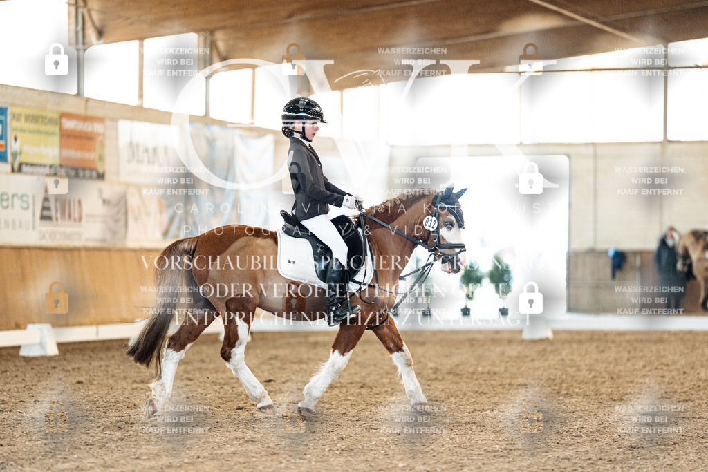 CK907270 | Turnierfotografie Pferdefotografie Trier Rheinland-Pfalz Pferdesport Reitsport Tierfotografie Sportfotografie Pferdevideo Pferdevideografie Equestrianvideography equestrianphotography  - Realisiert mit Pictrs.com
