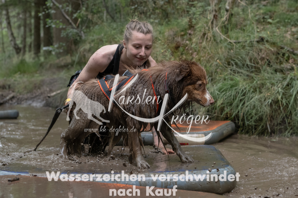 1321_ZZ93584 | kk-dogfotos