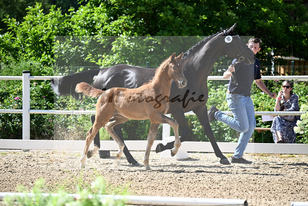 Kat-Nr. 10 Va Bene x Marc Cain_SF_Finck-Deichner_20250398 | hf-fotografie - Realisiert mit Pictrs.com