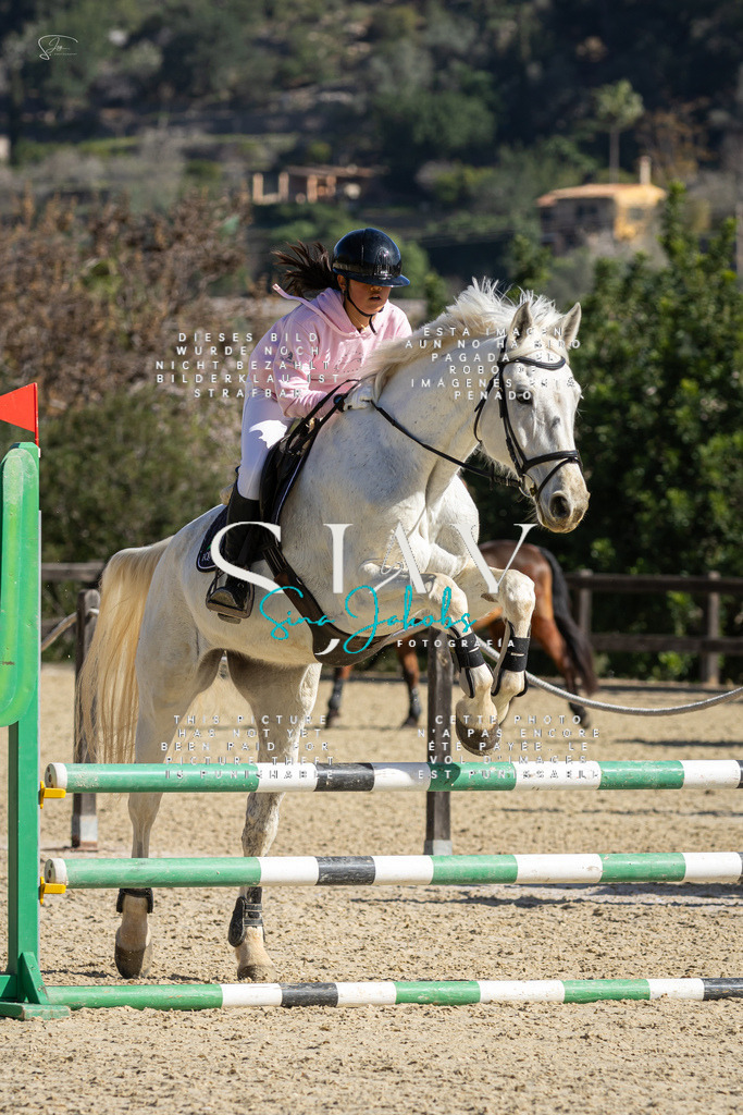 IMG_6222 | s-jay-photography - Realisiert mit Pictrs.com