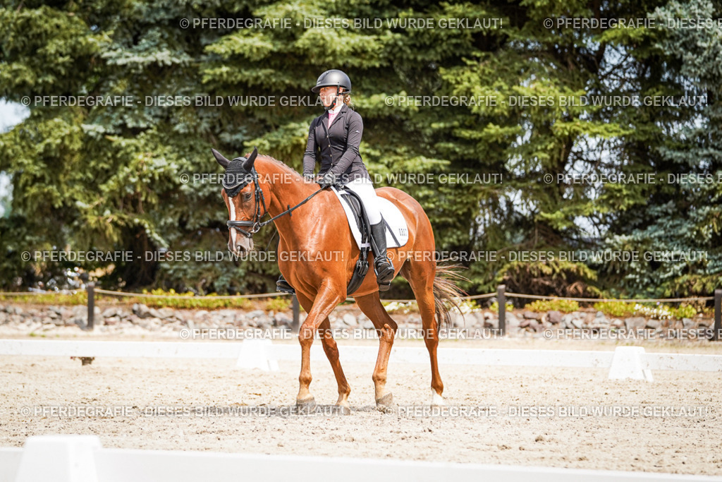 DSC03796 | Pferdegrafie