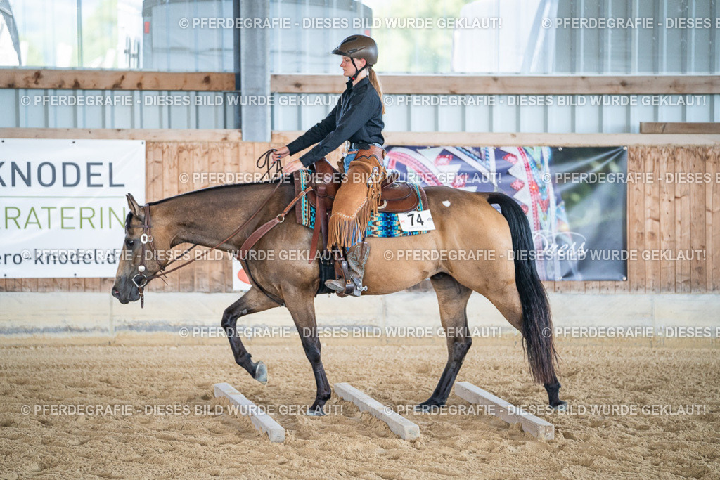 DSC03364 | Pferdegrafie