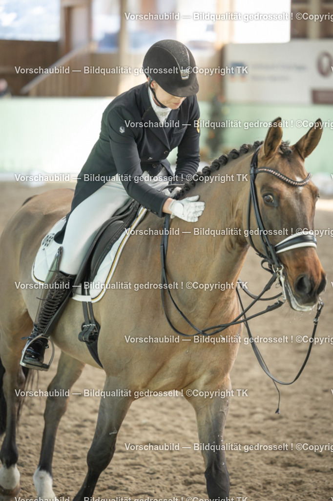 _D5A2341 | Emotionale Pferde- & People-Fotografie rund um Heidelberg, Leimen & Umgebung. Natürliche Fotos von Pferd, Mensch & Familie. Jetzt Termin sichern!
