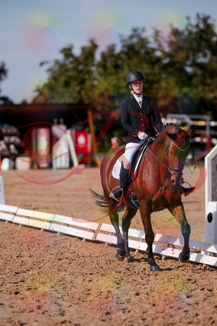 2026_10_03_Siefer-Hof_130744_Z81_58668007 | Professionelle Reitsport-, Turnier- und Eventfotografie von Robert Broda. Galerien mit ausgewählten und bearbeiteten Bildern direkt online ansehen und bestellen.