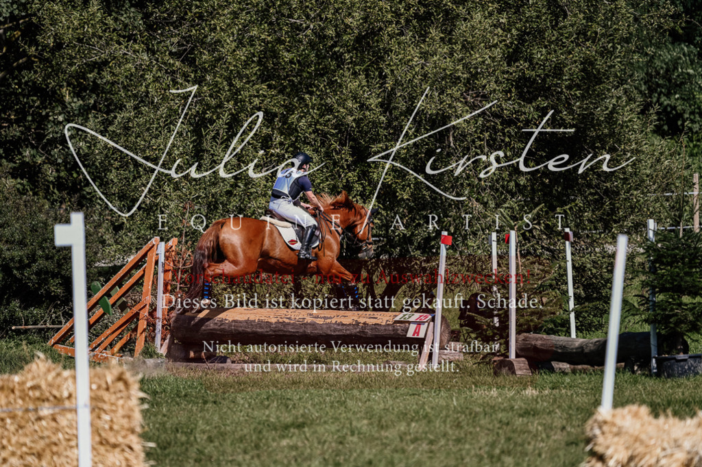 DSC_1912 | Pferde- und Turnierfotografie in Westsachsen. Pferdeportraits, Auftragszeichnungen und intuitive Kunst.