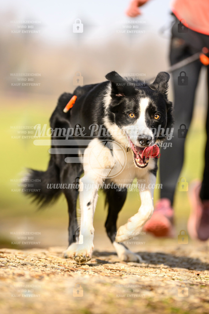 MompixPhotography_6ReiatRennen2026_SA_HappyDog-52 | PayLife