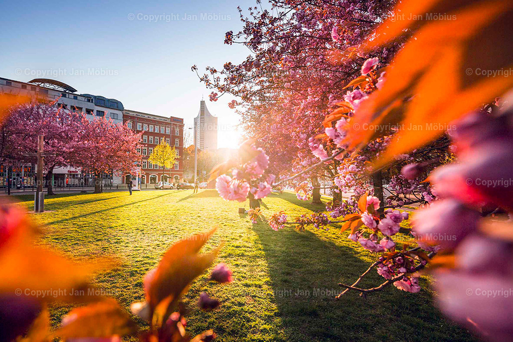 _M5D0037 | Leipzig Wandbilder Drucke Prints Leinwand Stadtmotive Leipzig Fotosdruck Kunstdrucke Bilder Leipzig Stadtansichten Acrylglasbilder Leipzig Wanddeko Fine Art Prints Wandbilder Büro Leipzig Bilder Praxis Zuhause Bilderdruck Poster Posterlounge Kunstdrucke - Realisiert mit Pictrs.com