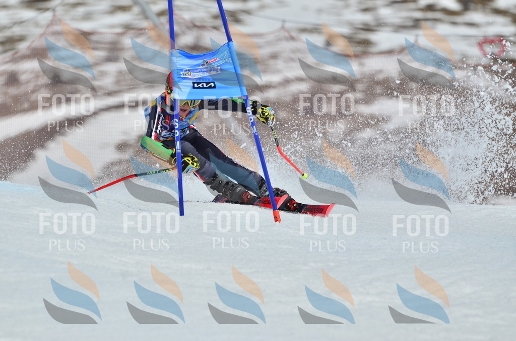 _ELE2161 | holidayphoto