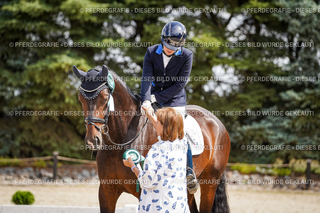 DSC09716 | Pferdegrafie