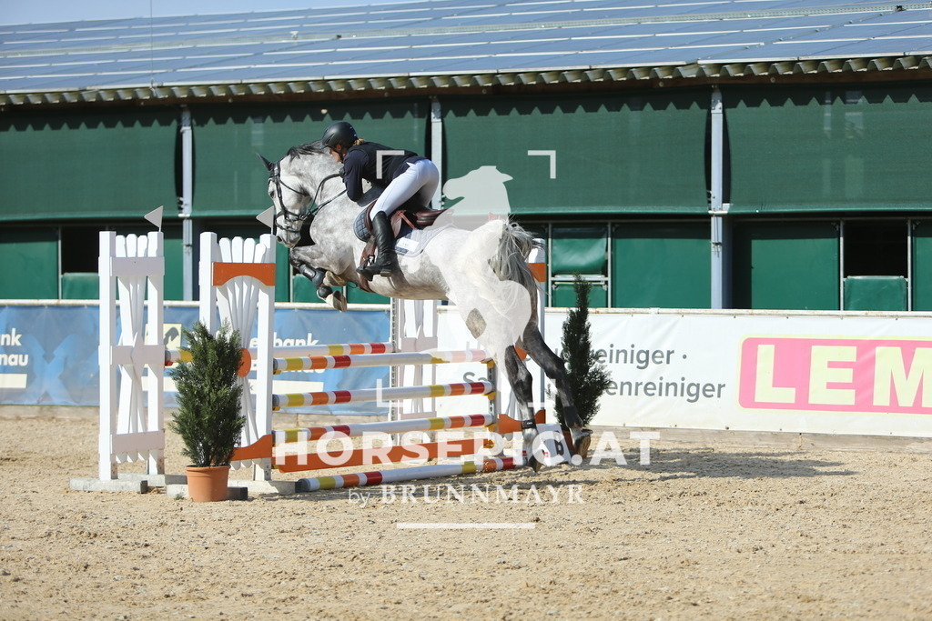 DL2Q3862 | Willkommen bei Brunnmayr - Design & Fotografie – Ihrem Spezialisten für Reitturniere und Pferdeveranstaltungen in Oberösterreich, Salzburg und Bayern! Seit über 17 Jahren sind wir leidenschaftlich dabei.
