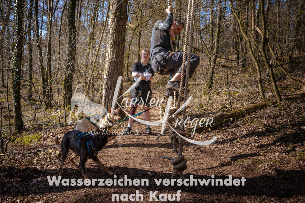 0934_ZZ98839 | kk-dogfotos