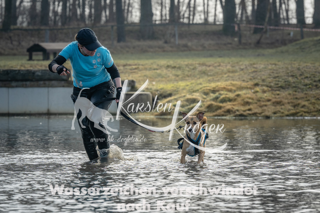 1001_ZZ95427 | kk-dogfotos