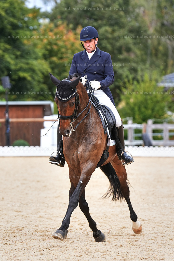 11-226-Dressur S___-Marixx-1737 | working equitationturnier fotograf videograf stoibphotography marixx film working equitation deutschland reitsport turnierfotografie eventfotografie equestrian events
