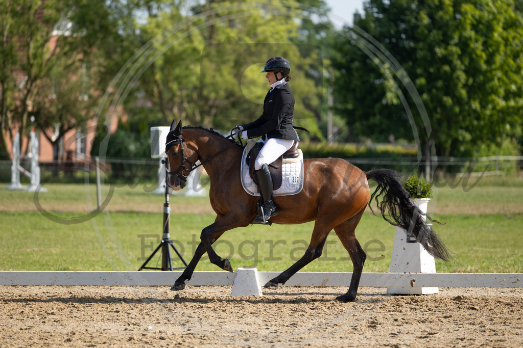 994A4431 | sabrinanicolaifotografie - Realisiert mit Pictrs.com