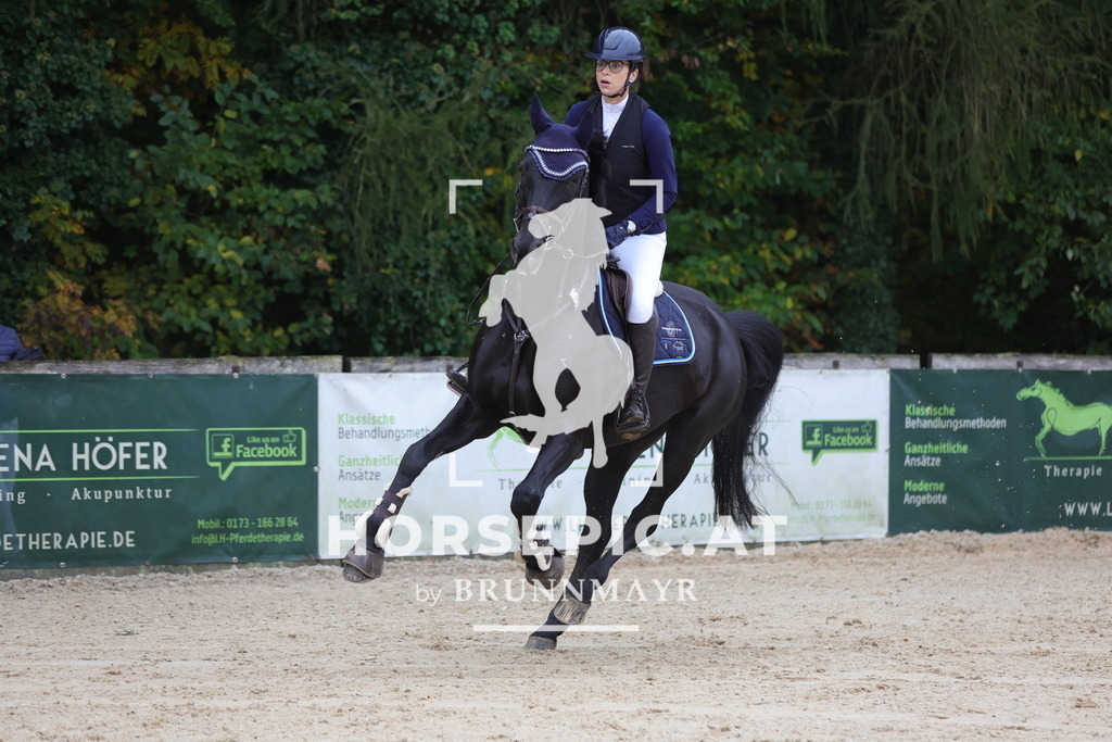 0P6A0702 | Willkommen bei Brunnmayr - Design & Fotografie – Ihrem Spezialisten für Reitturniere und Pferdeveranstaltungen in Oberösterreich, Salzburg und Bayern! Seit über 17 Jahren sind wir leidenschaftlich dabei.