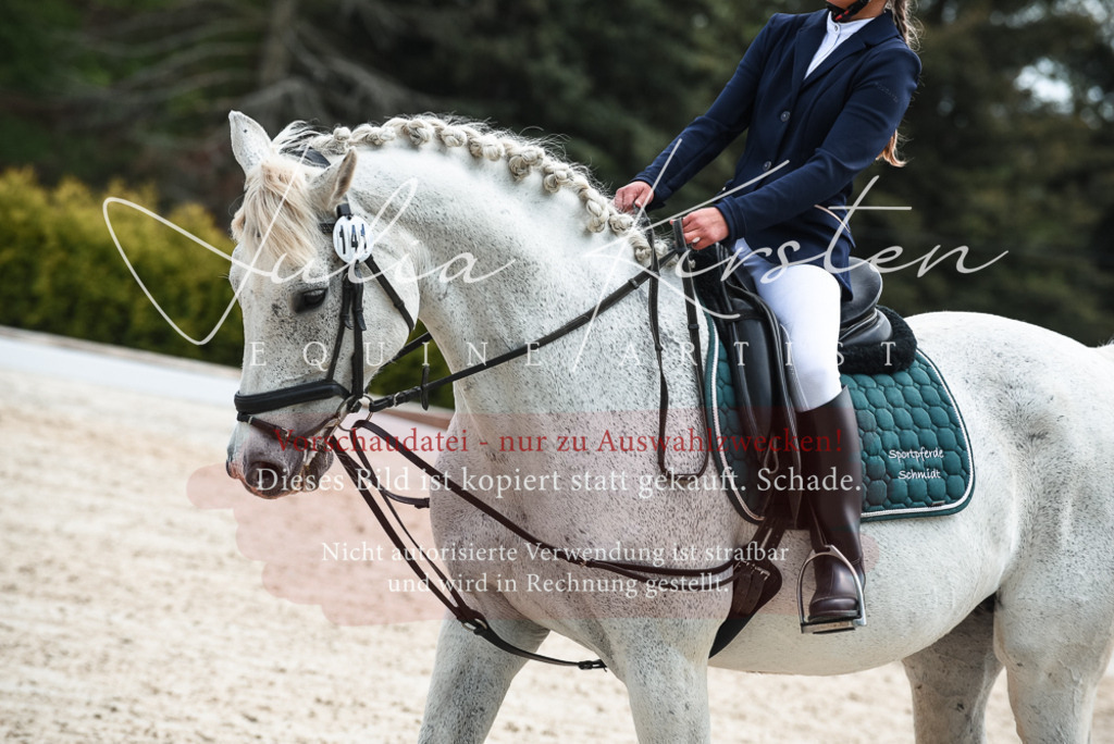 20230518_JK-Röhrsdorf-11-0378 | Pferde- und Turnierfotografie in Westsachsen. Pferdeportraits, Auftragszeichnungen und intuitive Kunst.