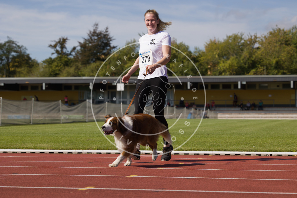 0L8A2490 | Hundefotografie, Tierfotograf, Pfotenfotografie, Fotoshooting Hund, Hunde Portrait, Hundesport, Hundeportraits, Heideshooting, Hunde, Sportfotograf, Hundefotograf, Turnierhundsport, THS,  - Realisiert mit Pictrs.com